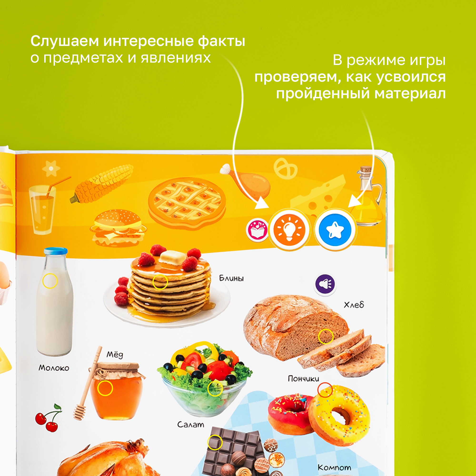 Говорящая книжка BertToys большая нажималка я и мир вокруг - фото 7