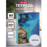 Общая тетрадь Prof-Press клетка 80 лист.