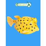 Фигурка Collecta Рыбка-коробка