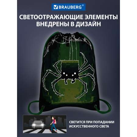 Мешок для обуви Brauberg