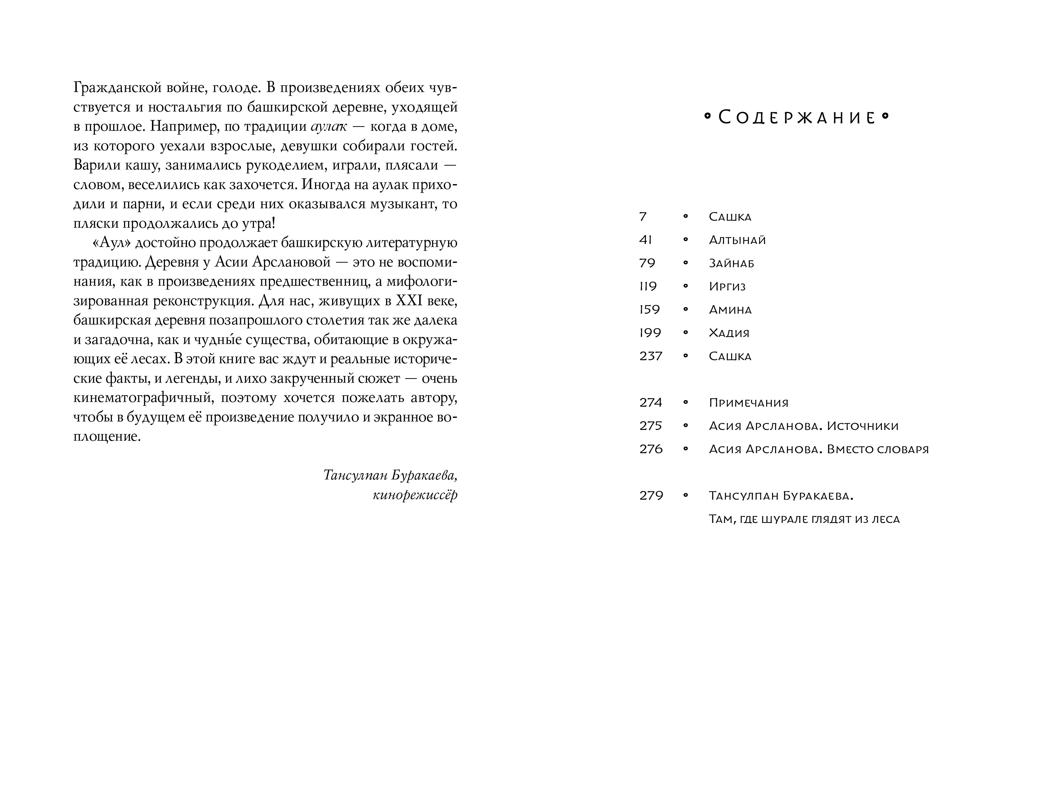 Книга Волчок Аул - фото 3