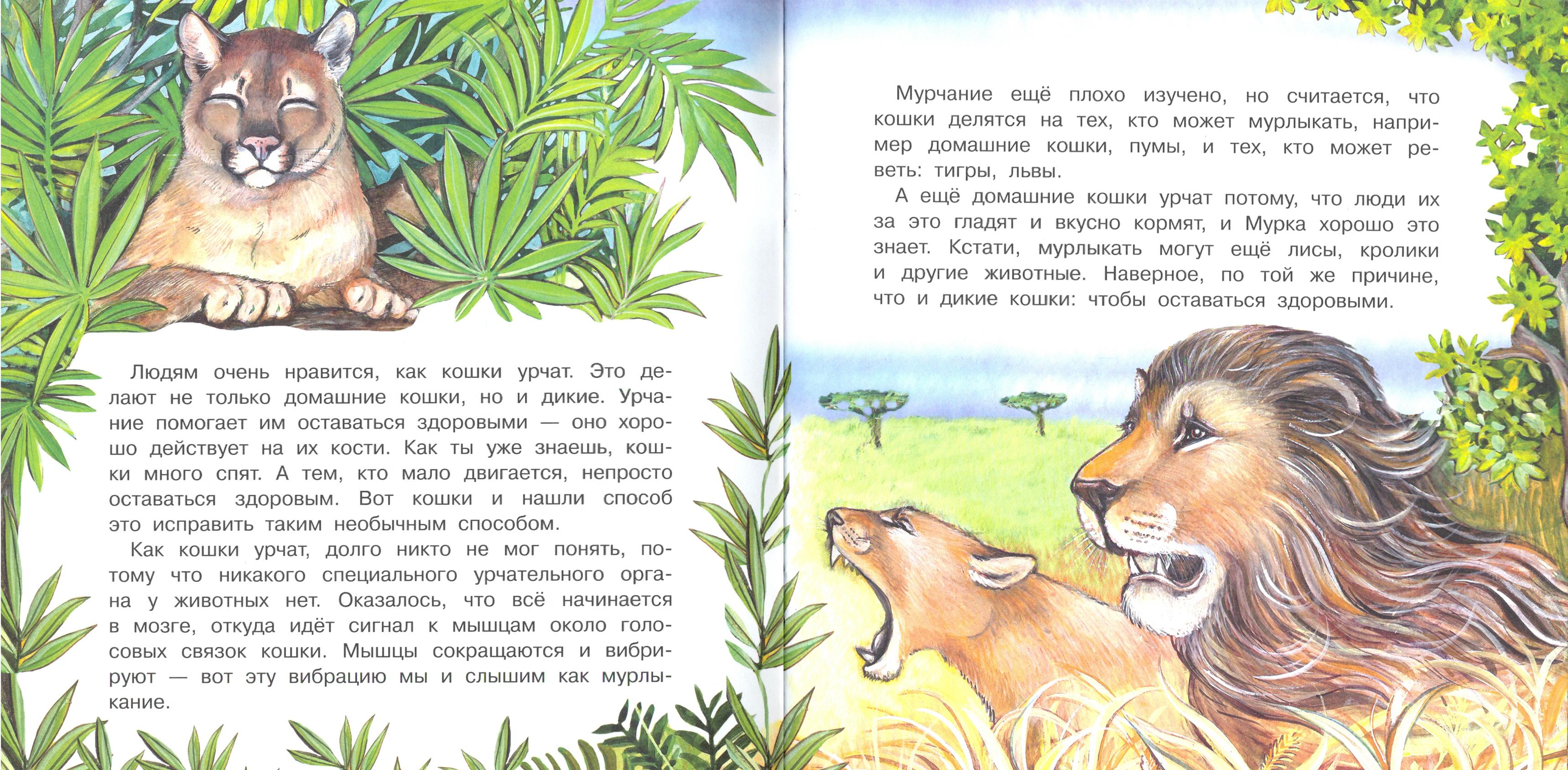 Книга Качели Большая кошачья семья - фото 4