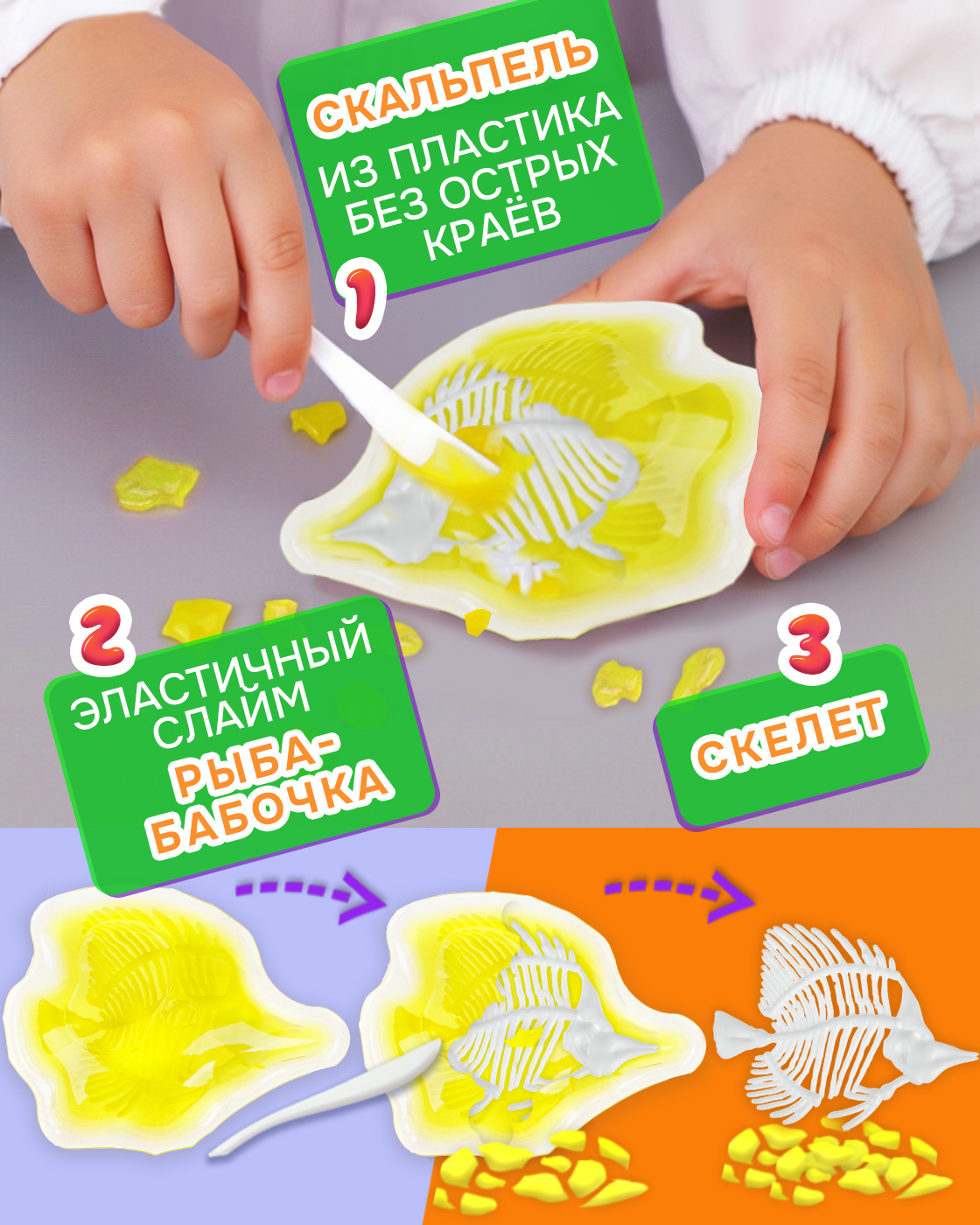 Набор для опытов 1TOY - фото 2