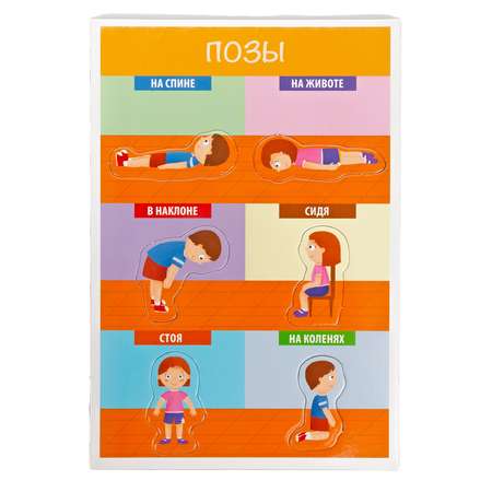 Настольная игра HEADU Как устроен человек для детей