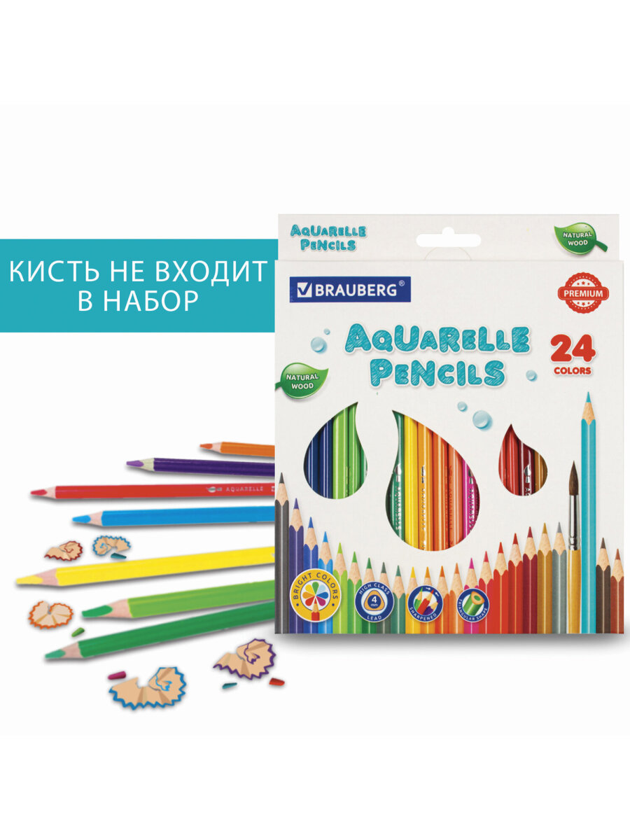 Карандаши акварельные Brauberg 24 шт. - фото 2