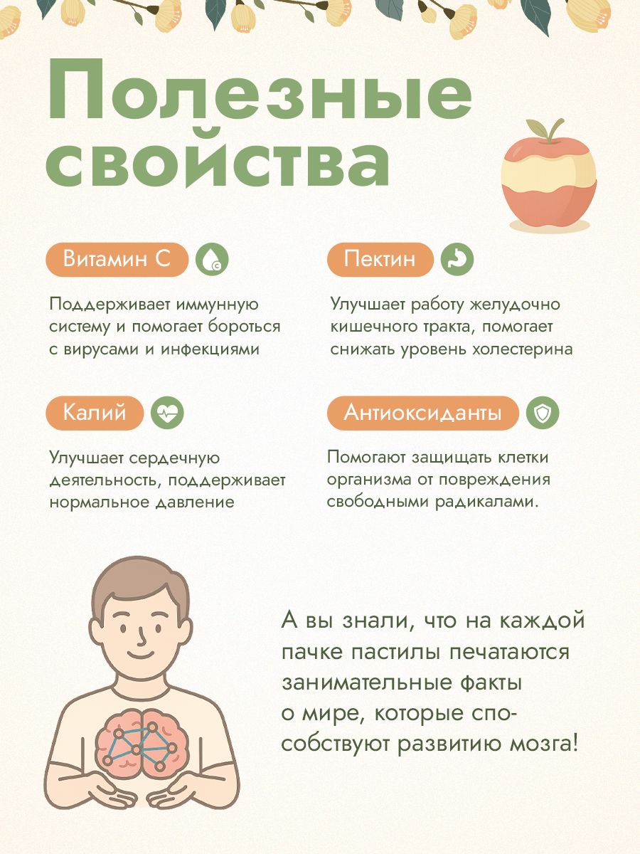 Пастила яблочная без сахара MixFruit Черная Смородина - фото 5