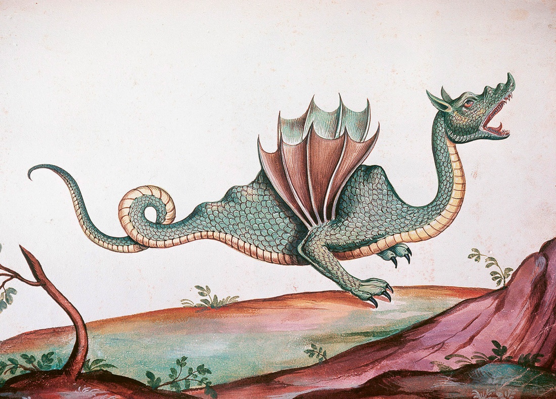 Книга КОЛИБРИ Кроль Терзаги Д. Магические животные Легенды и суеверия - фото 5