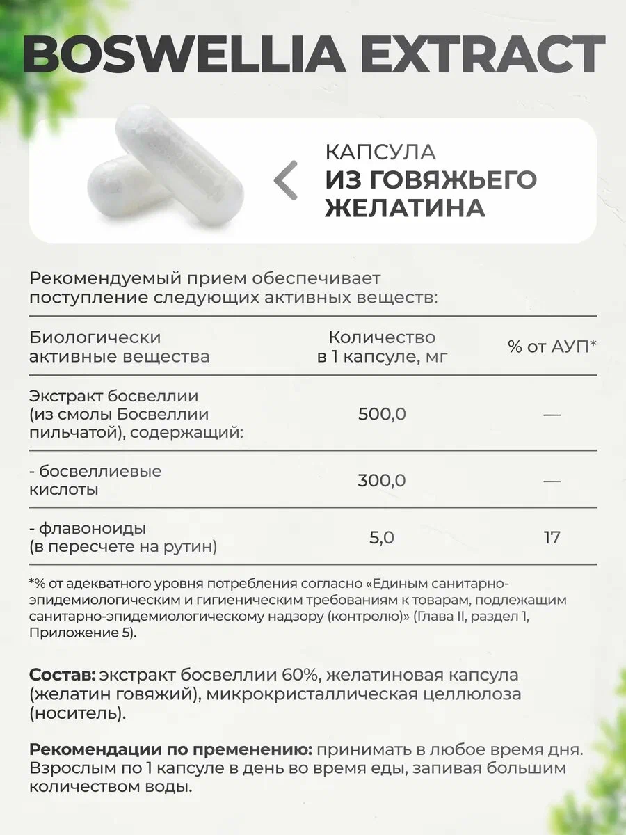 Биологически активная добавка VitaMeal Босвеллия экстракт 500 мг для хрящей и суставов 90 капсул - фото 5