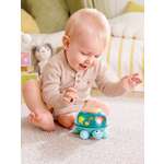 Игрушка Hape Музыкальная черепашка