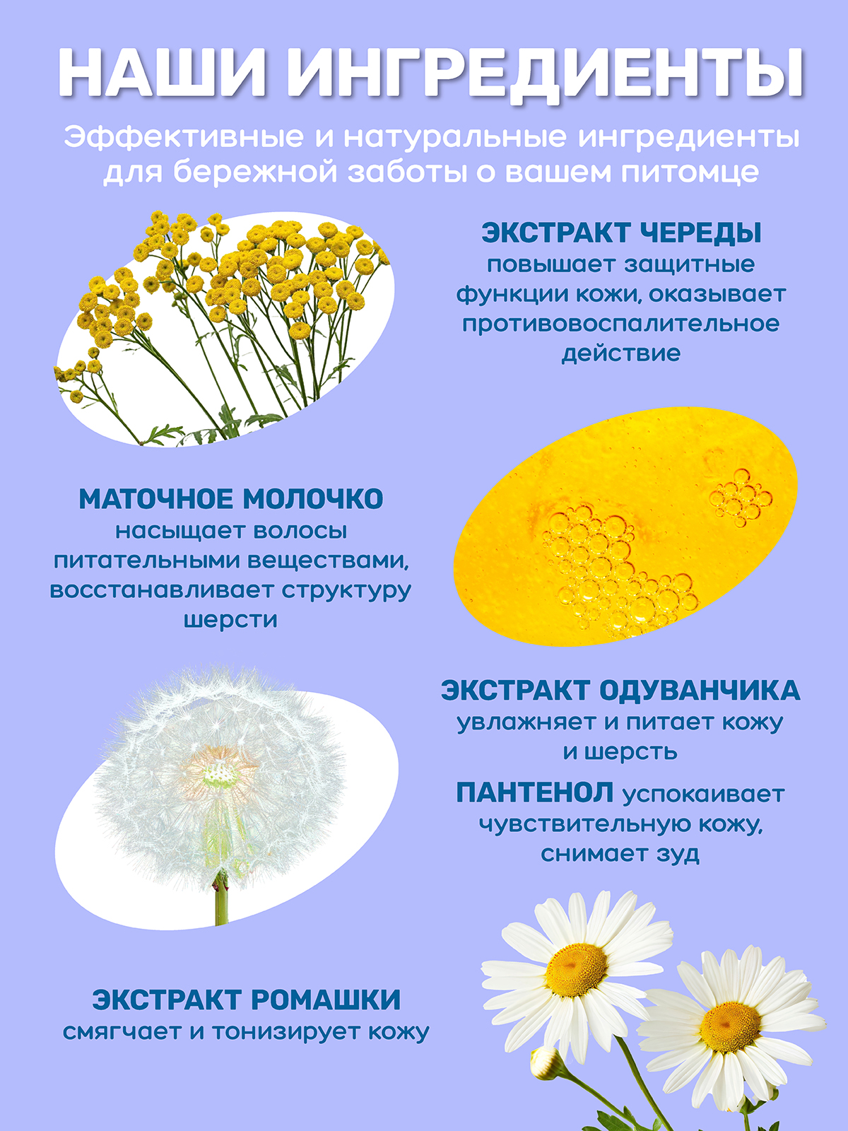 Крем-мыло для лап и шерсти ZOORIK маточное молочко 250 мл - фото 5