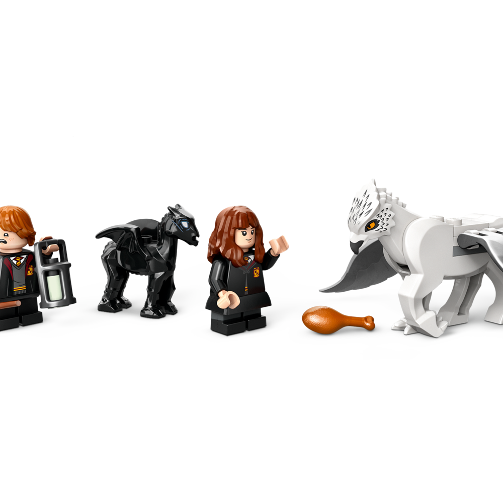 Конструктор LEGO Harry Potter 744 дет. - фото 4
