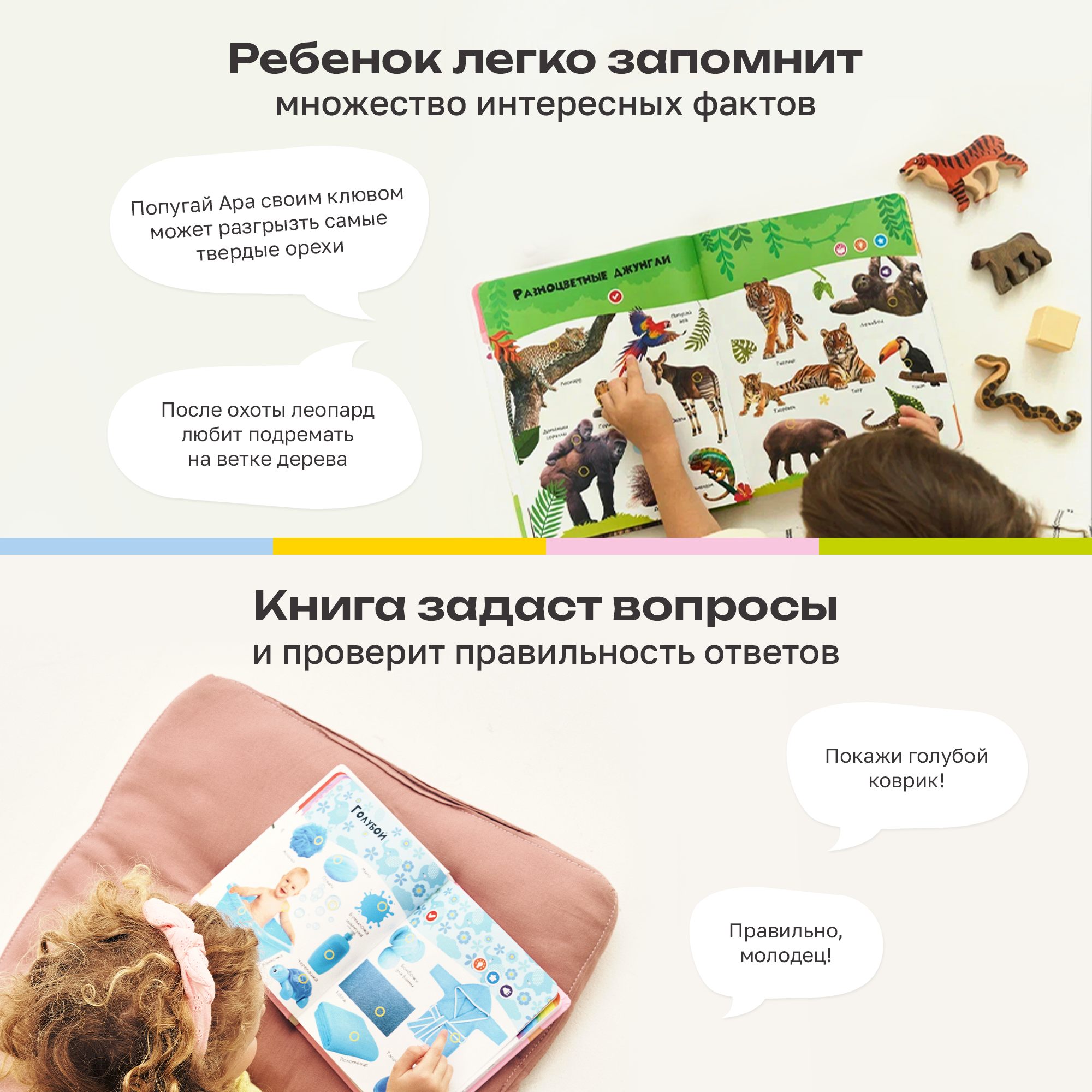 Комплект говорящих книжек BertToys Нажималки: Животные + Цвета - фото 7
