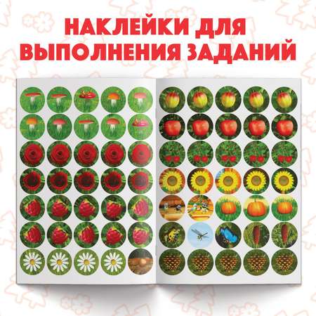 Набор для творчества Маша и Медведь