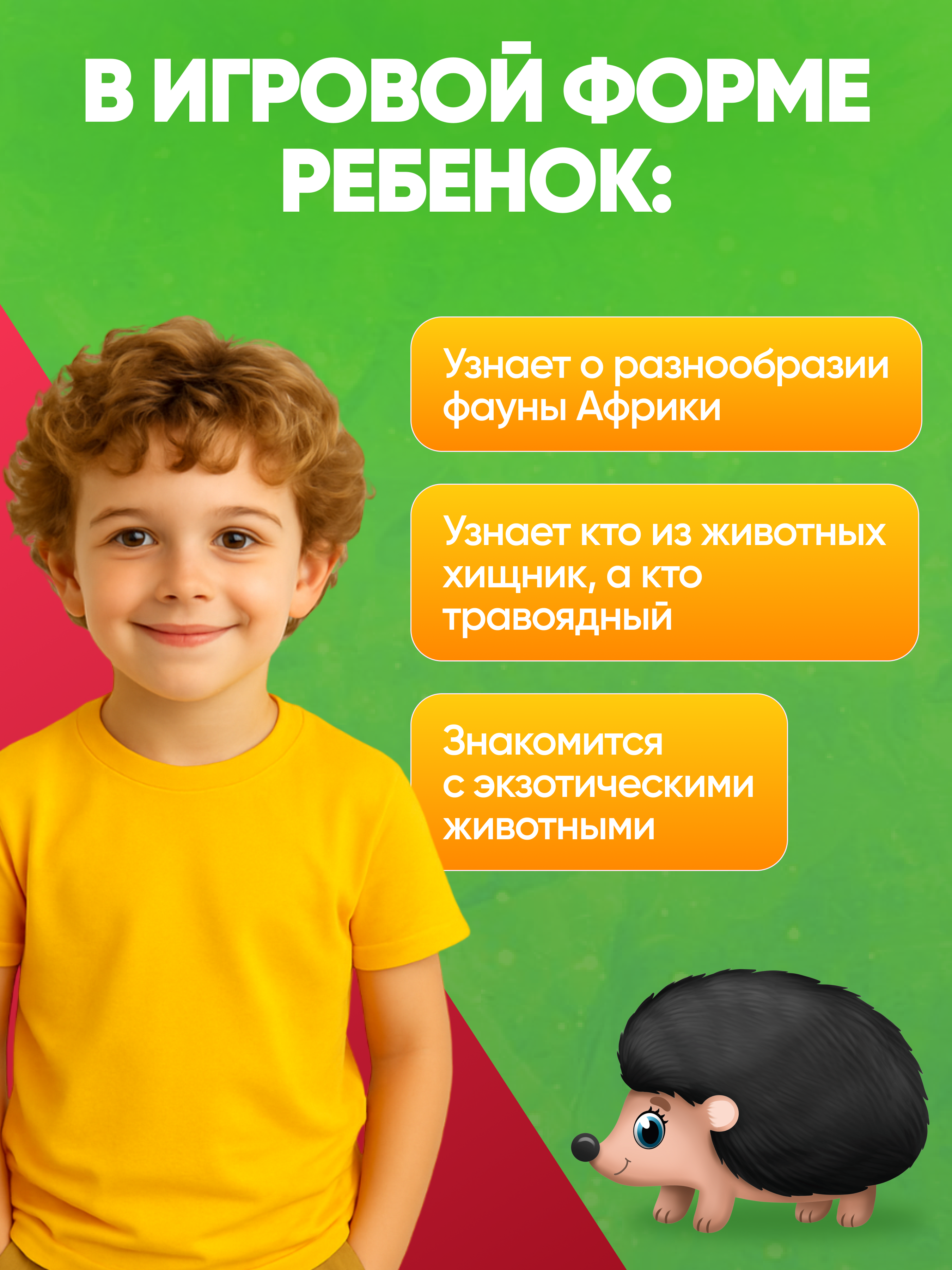 Настольная игра El BascoKids Животные леса - фото 4