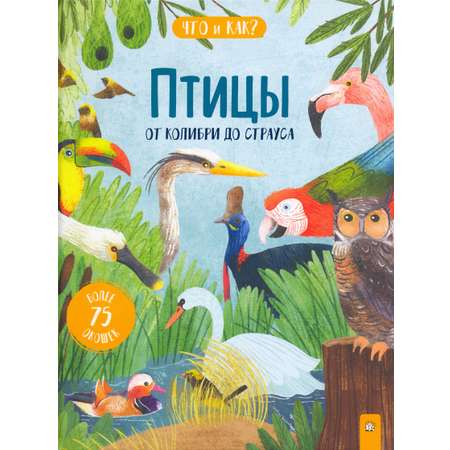 Книга Лабиринт Птицы От колибри до страуса