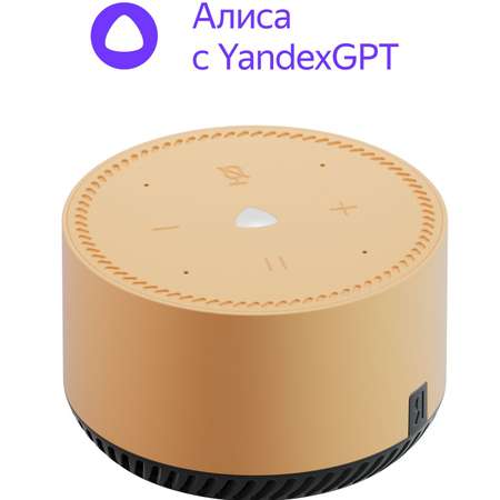 Умная колонка Яндекс Станция Лайт Алиса 5W 1.0 BT 10м (YNDX-00025G) в ассортименте