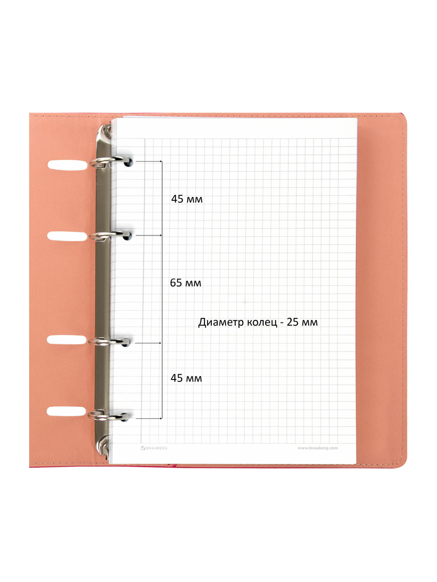 Тетрадь со сменным блоком Brauberg клетка 120 лист. - фото 4