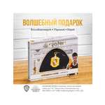 Игровой набор PMI Пуффендуй