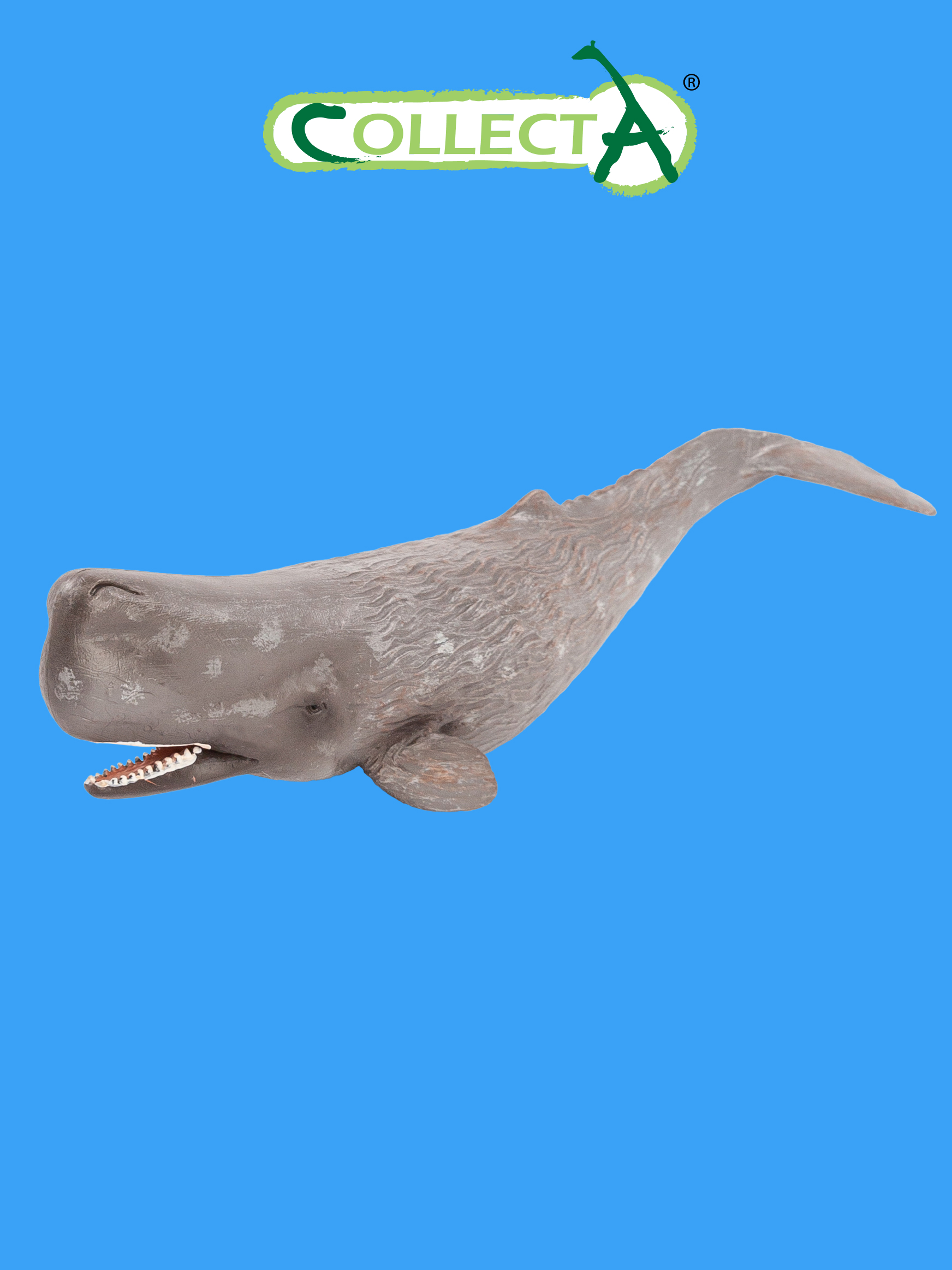 Фигурка Collecta Кашалот - фото 1