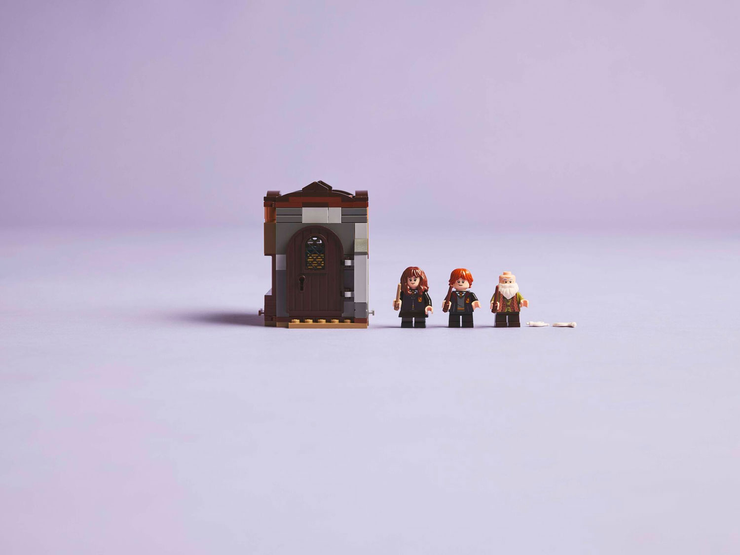 Конструктор LEGO Harry Potter Замок Хогвартс 76442 204 дет. - фото 13
