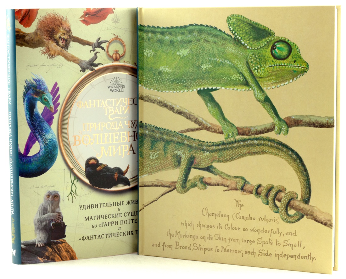 Комплект книг Махаон Вселенная Гарри Поттера. Комплект из 3-х книг - фото 14