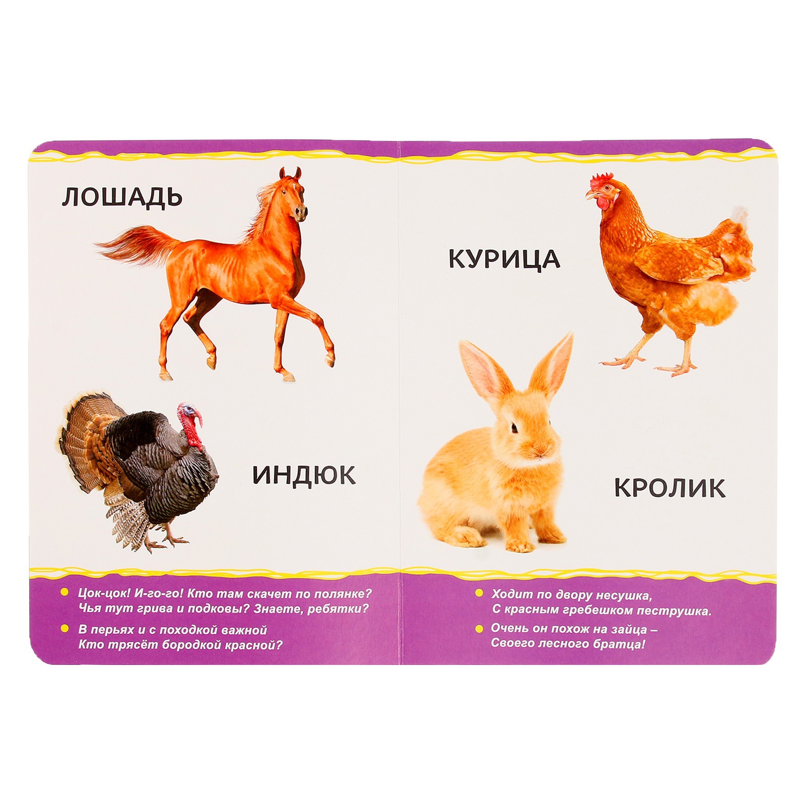 Книжка Буква-ленд Домашние животные 10 стр Микс - фото 3