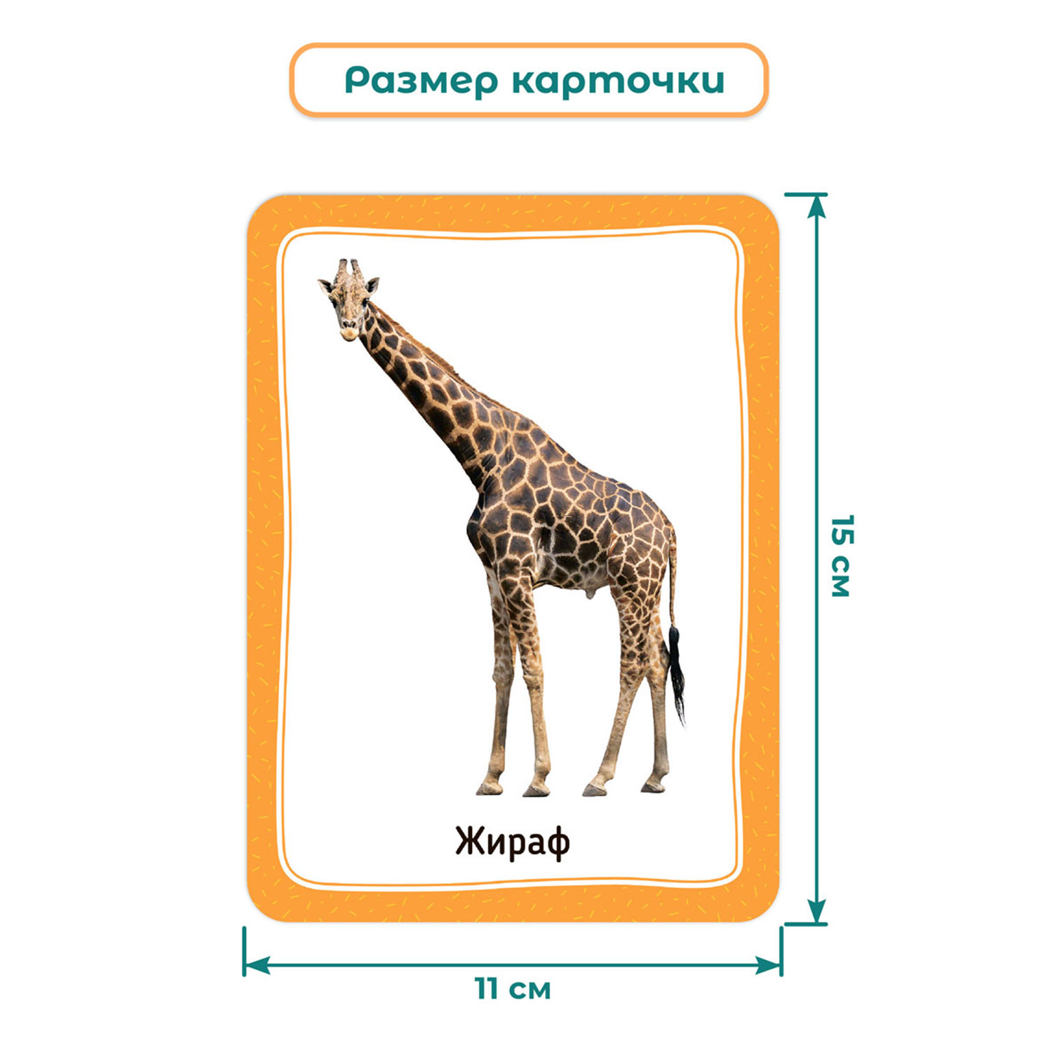 Настольная игра BertToys Весёлый зоопарк - фото 8