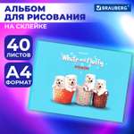 Альбом Brauberg А4 40 лист.