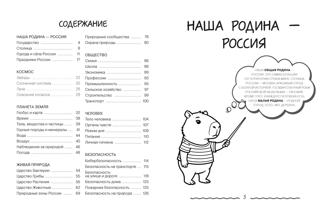 Книга КОЛИБРИ Лучший гид по 4 главным предметам начальной школы - фото 21
