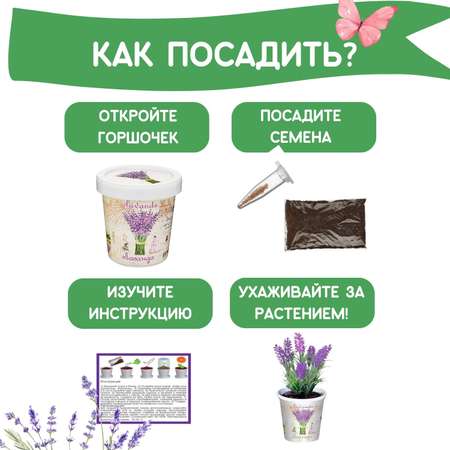 Набор для выращивания Rostok Visa