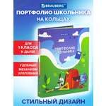Папка для портфолио Brauberg школьника и дошкольника А4 на кольцах