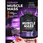 Гейнер BiotechUSA Muscle Mass 4000 г. Клубника