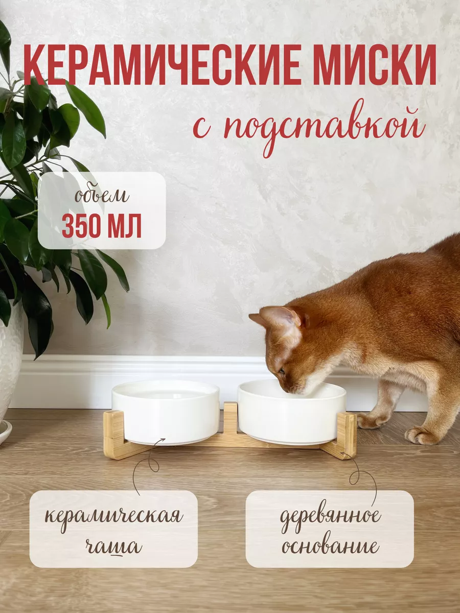 Миска керамическая Qalla двойная на подставке - фото 1