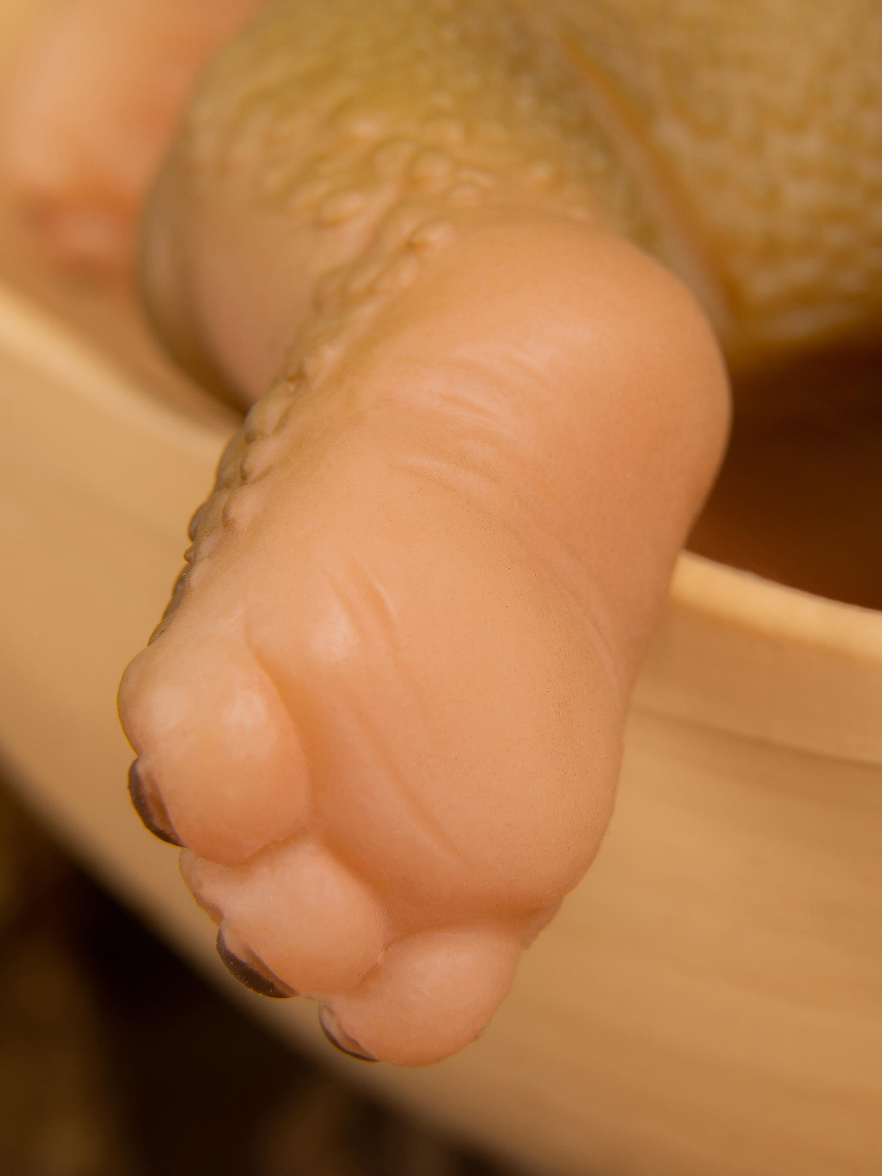 Кукла мини Magic Manufactory Magic Dino Игуанодон высота 22 см 4631163177443 - фото 25