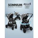 Коляска прогулочная Amarobaby Somnium