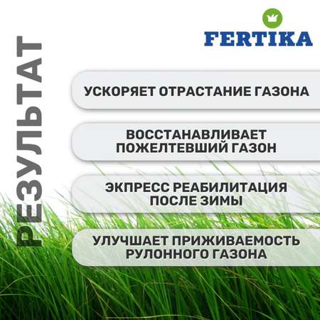 Комплексное удобрение FERTIKA Газонное Весна-лето минеральное 2 л