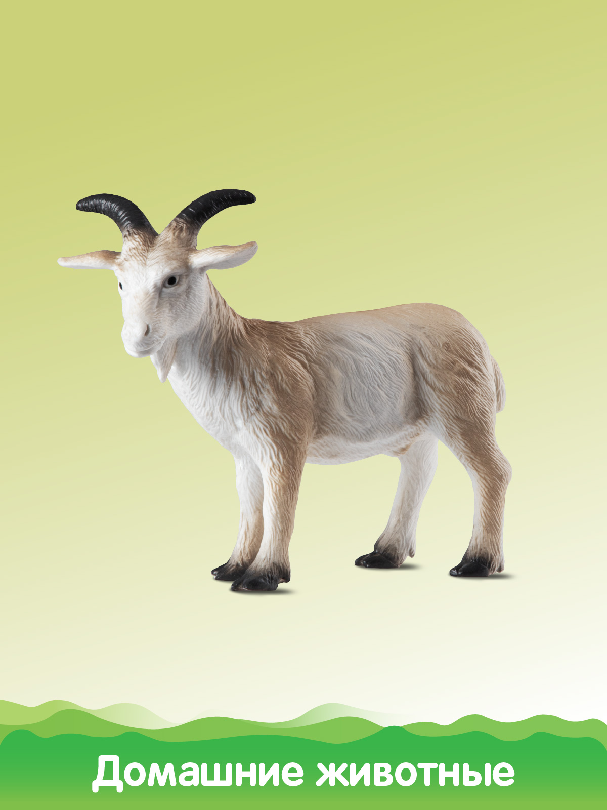 Игровой набор DARWIN Домашние животные 6шт - фото 10