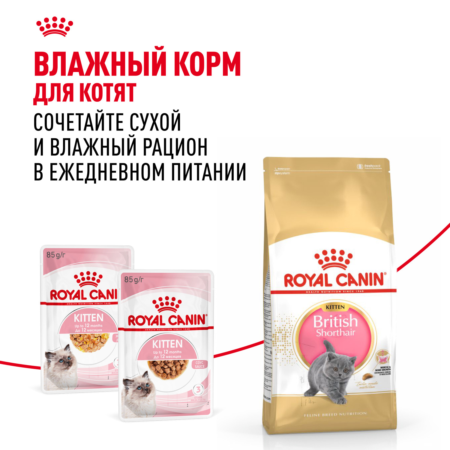 Корм сухой для котят ROYAL CANIN British Shorthair 400г породы британской короткошерстной - фото 8