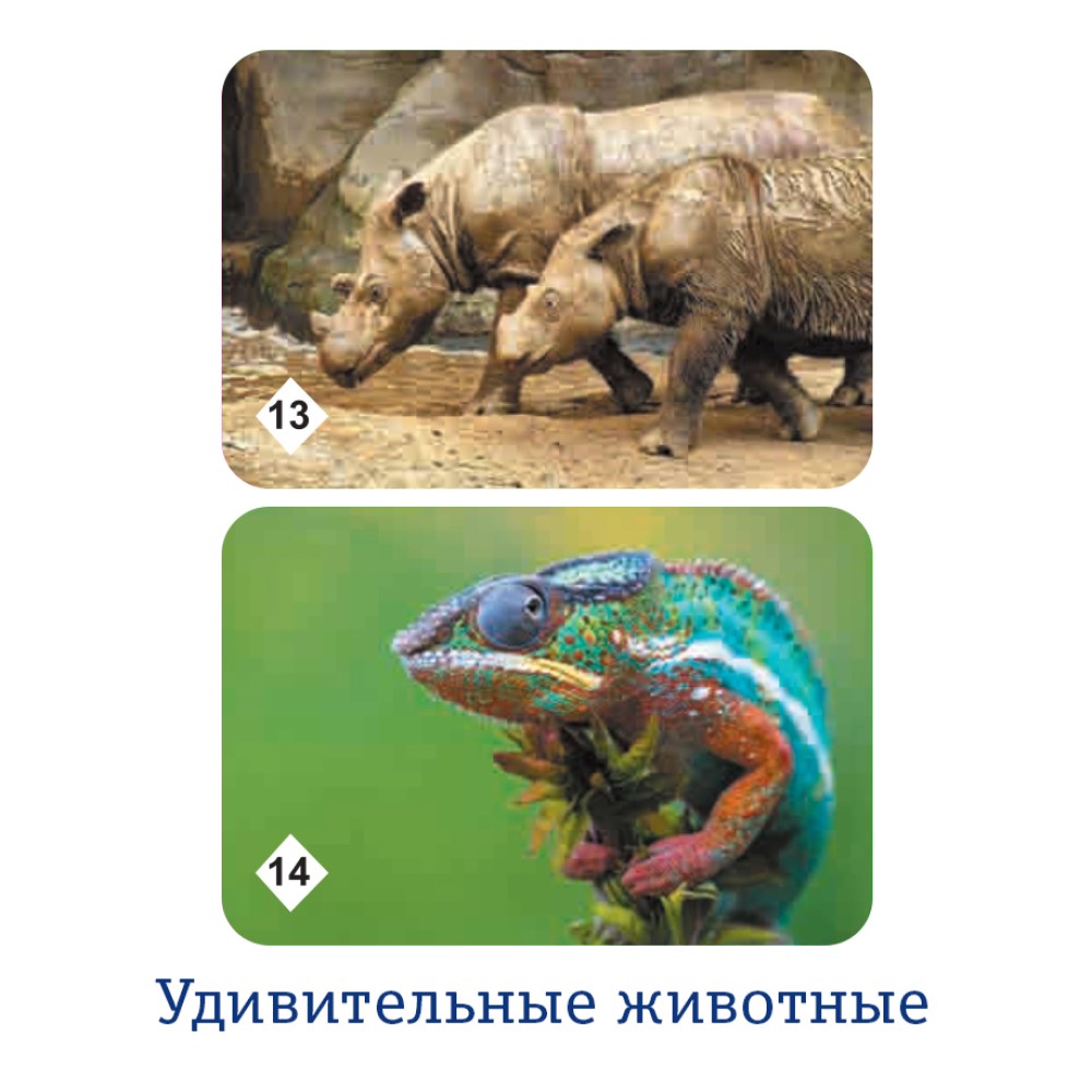 Настольная игра Нескучные игры Мемо - фото 10