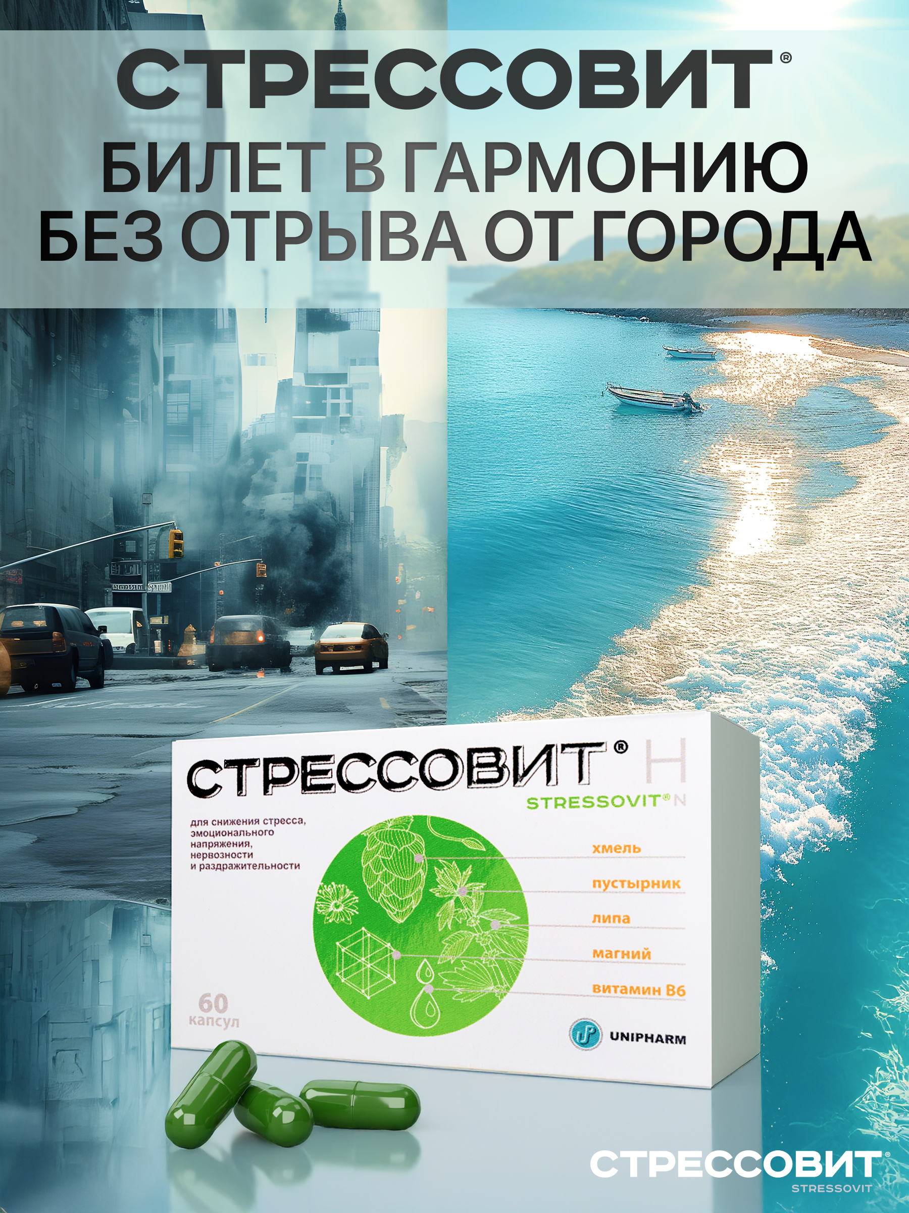 БАД Стрессовит Н 60 капсул - фото 6