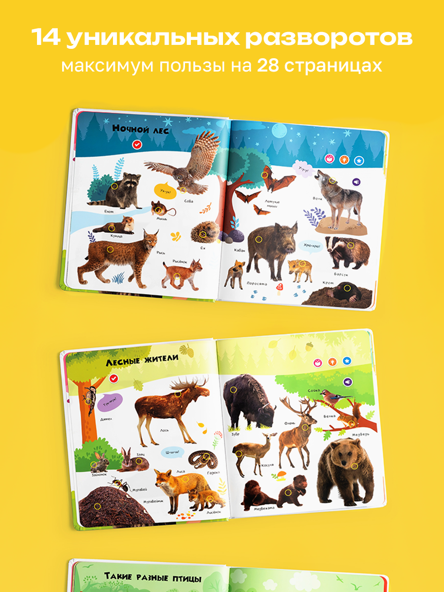 Говорящая книжка Нажималка BertToys Животные - фото 11
