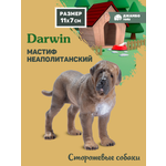 Фигурка DARWIN Собака Неаполитанский мастиф
