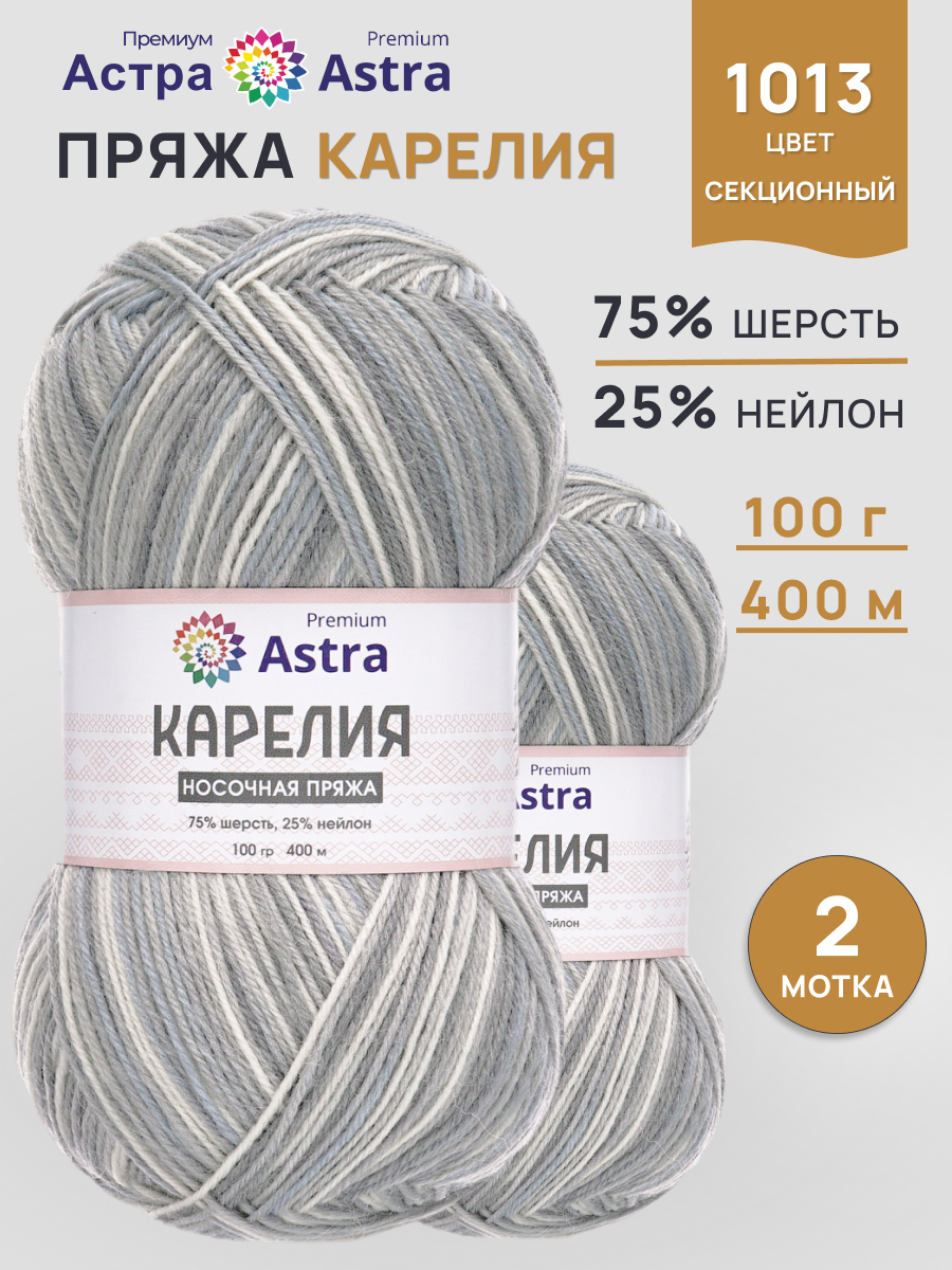Пряжа для вязания носочная Astra Premium 100г 400м 2шт - фото 1
