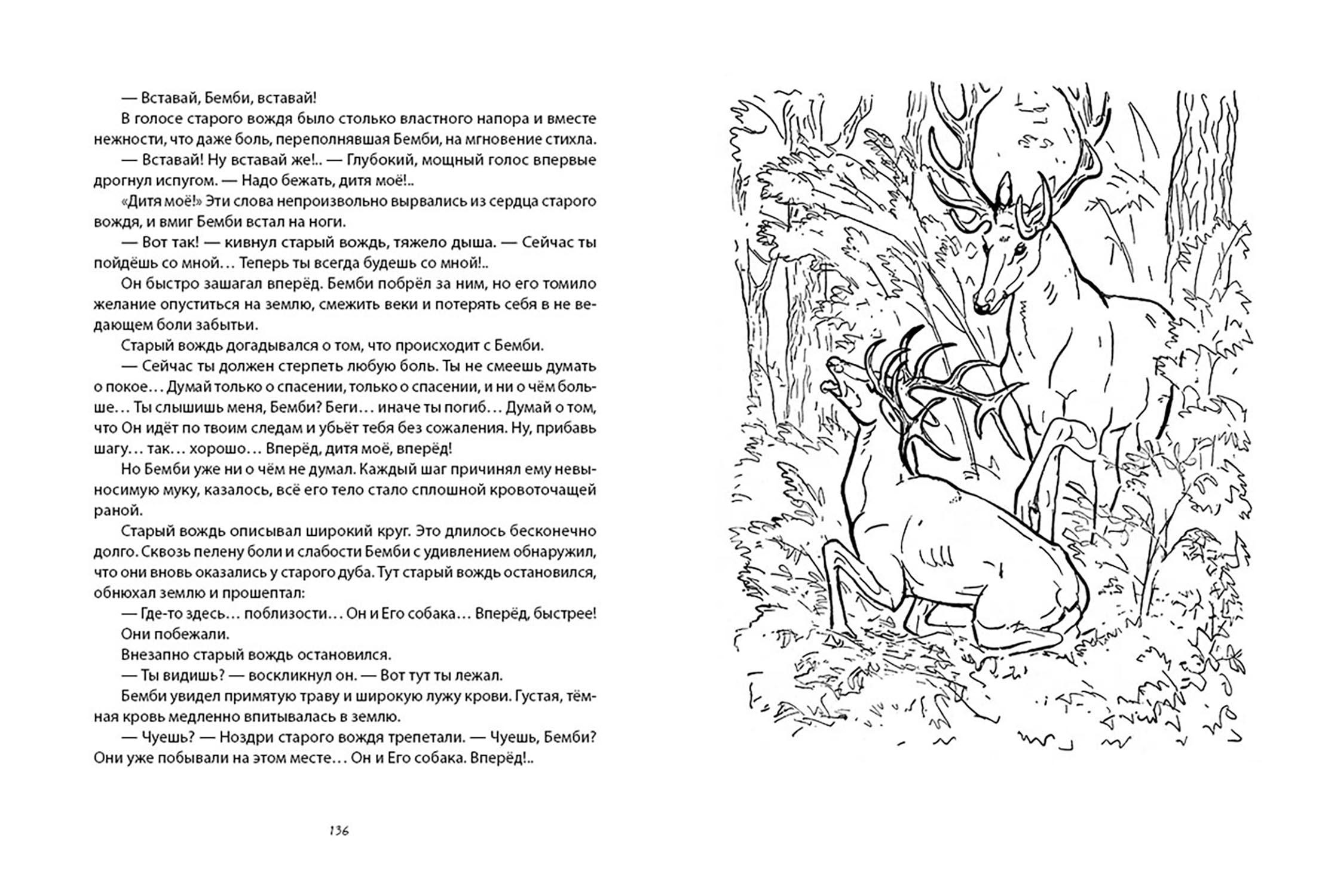 Книга Издательство Речь Бемби - фото 6