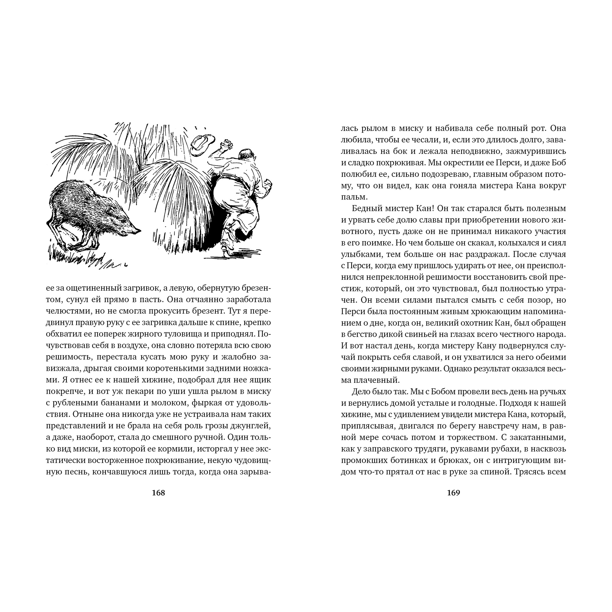 Книга АЗБУКА Три билета до Эдвенчер. Под пологом пьяного леса - фото 8