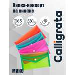 Папка-конверт Calligrata