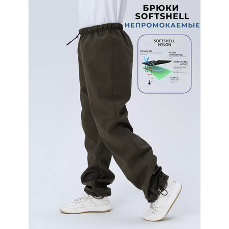 Брюки Lemonwear
