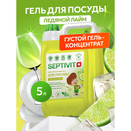 Средство для мытья посуды SEPTIVIT Ледяной лайм 5 л