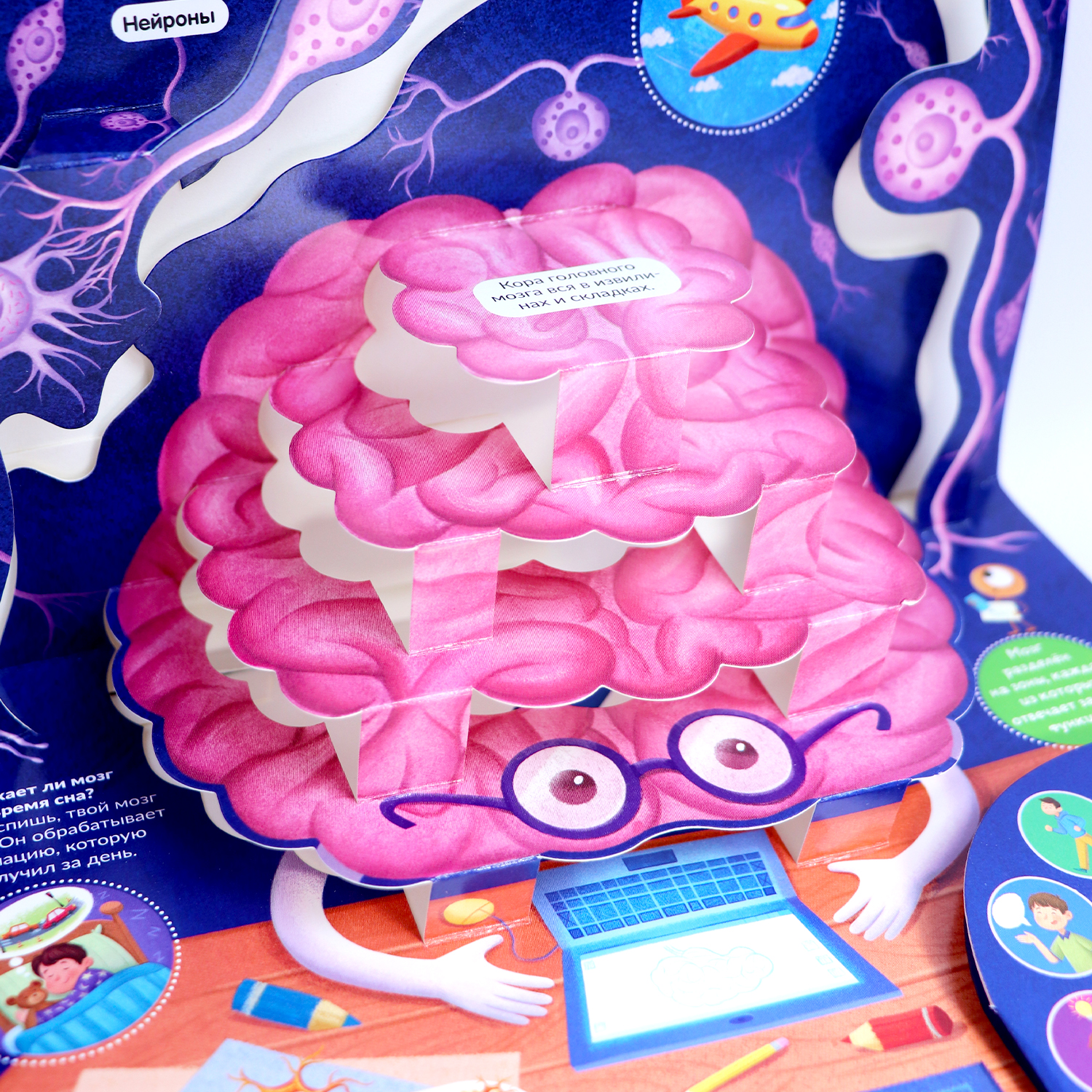 Книга Malamalama Анатомия человека с объемными картинками для детей - фото 8