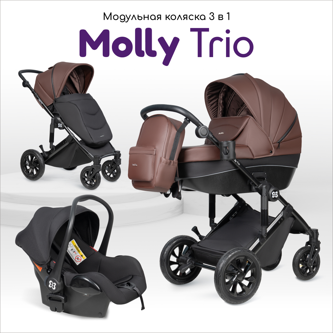 Коляска 3в1 Farfello Molly Trio - фото 1